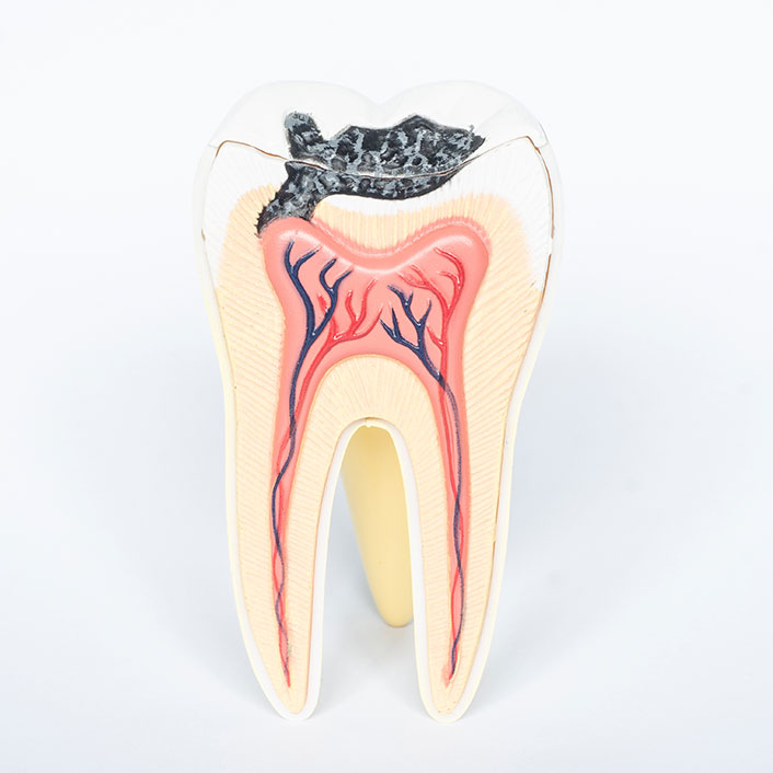 Auto Appointment - Dental Technologies
